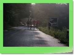 4gg1973_008