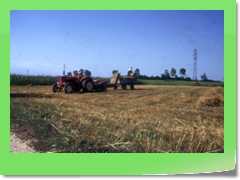 4gg1975_005