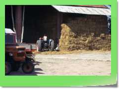4gg1975_009