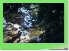 4gg1975_010