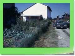 4gg1975_014