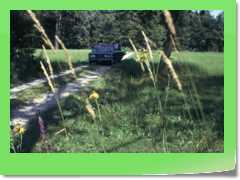 4gg1975_016