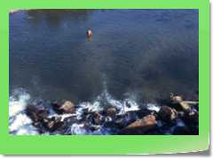 4gg1975_021