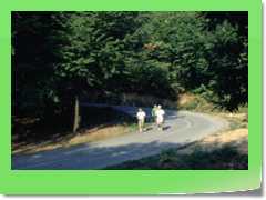 4gg1991_a023