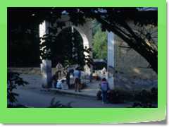 4gg1991_a024