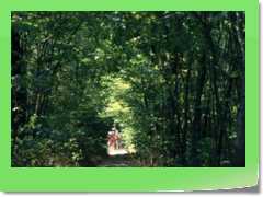 4gg1991_a028