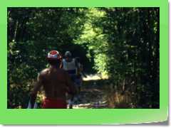 4gg1991_a029
