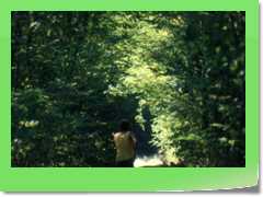 4gg1991_a031