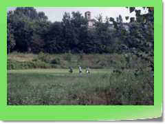 4gg1992a_025