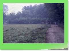 4gg1992b_022