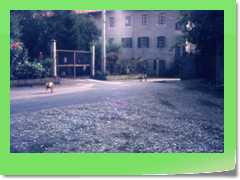 4gg19xxD_002