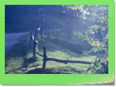 4gg19xxH_007