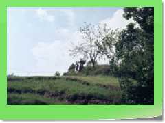4gg19xxI_004