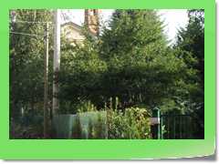 4days2007_033