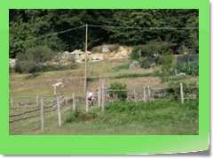 4gg09sab_043