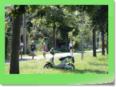 4gg10sab_219