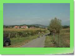 4gg11gio_191