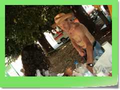 4gg11gio_291