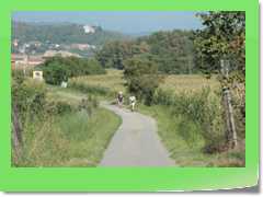 4gg2012_161