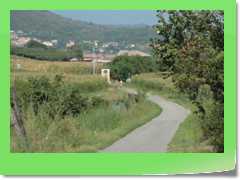 4gg2012_171