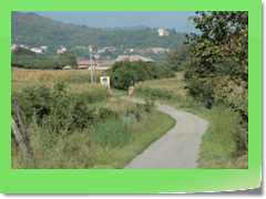 4gg2012_177