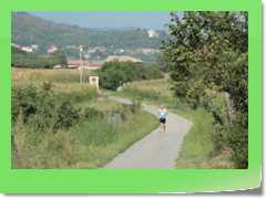 4gg2012_185