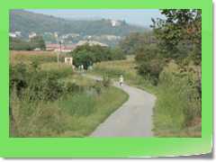 4gg2012_195