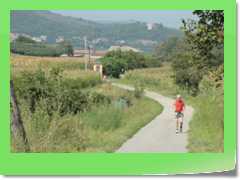 4gg2012_233