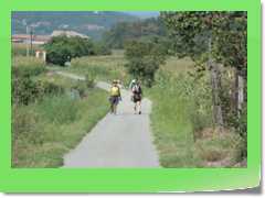 4gg2012_243