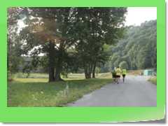 4gg2012_481