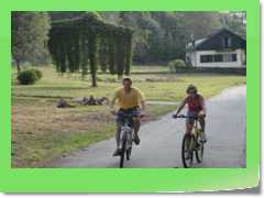 4gg2012_501