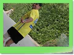 4gg2012_539