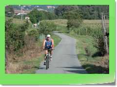 4gg2013_0031