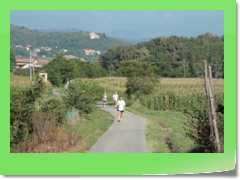4gg2013_0036
