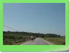 4gg2013_0059