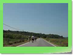 4gg2013_0060