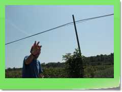 4gg2013_0063