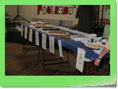 4gg2013_0734