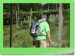 4gg2014_0115