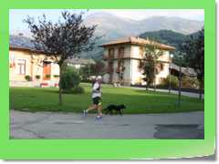 4gg2015_301