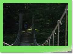 4gg2015_533
