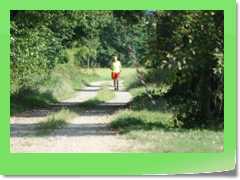4gg2016_1075