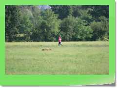 4gg2016_1079
