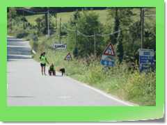 4gg2016_1834