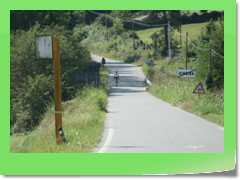 4gg2016_1870