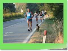 4gg2016_2022