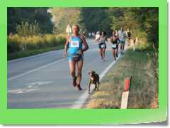 4gg2016_2023