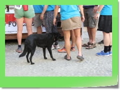 4gg2018_0895