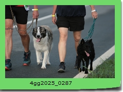 4gg2025_0287