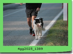 4gg2025_1389